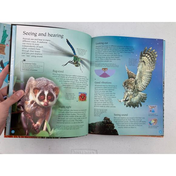 Lot of 2 Usborne Big Picture Atlas World Of Animals Encyclopedia Reference Books - Picture 4 of 11